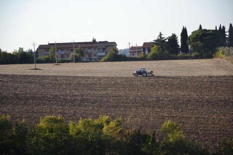 Perugia Farmhouse Esterno foto